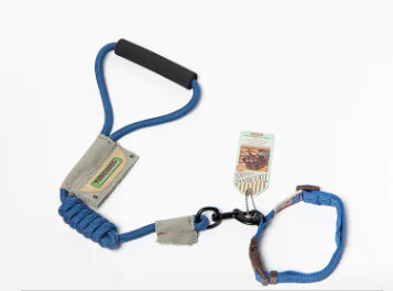 Pet Leash Set for Small Dogs and Cats with Collar