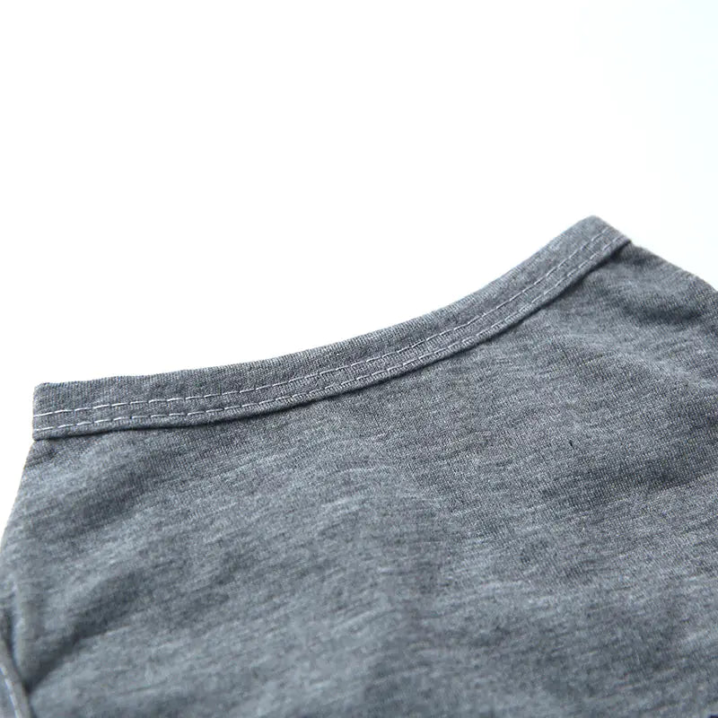 Teddy Dog Vest for Spring and Summer Pet Apparel