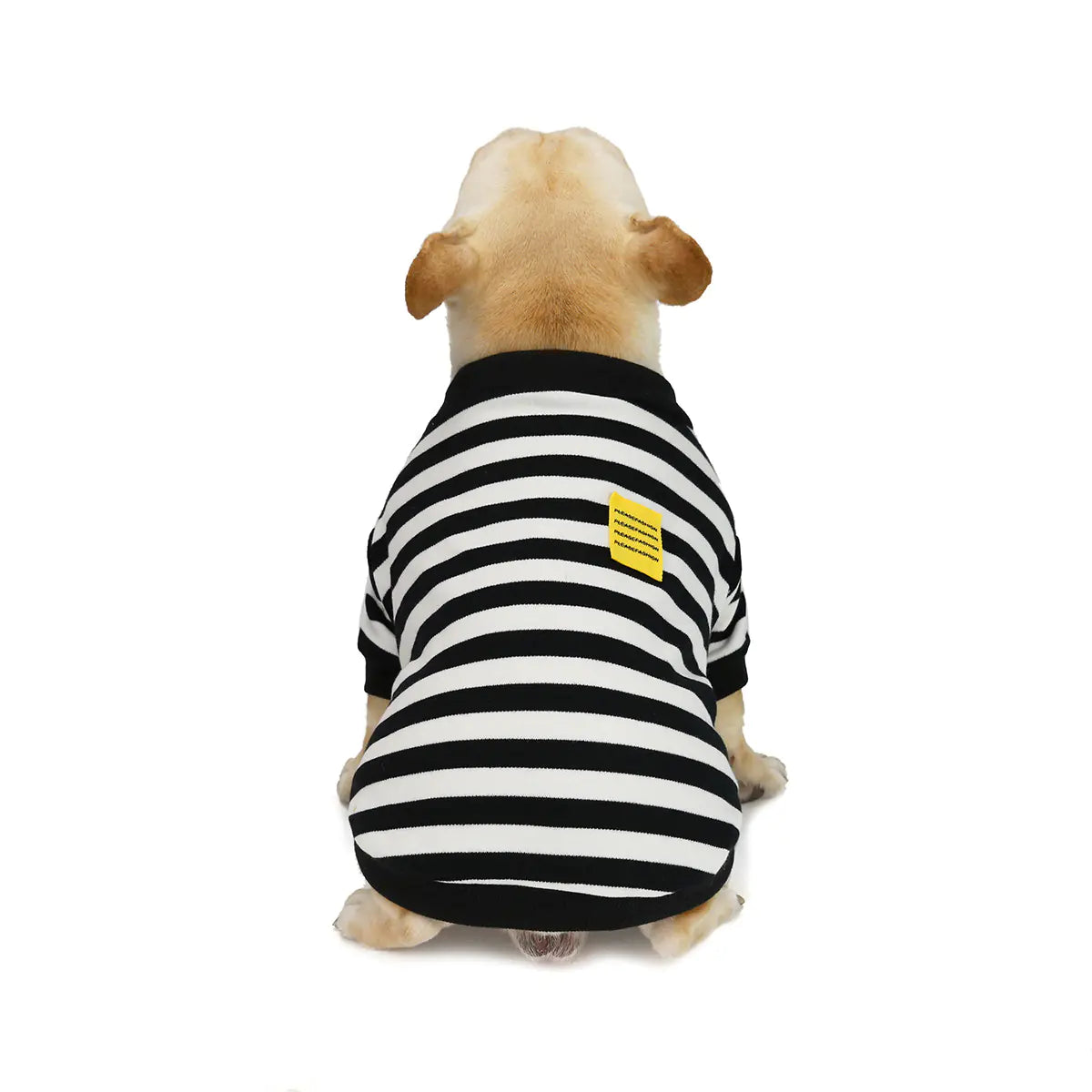 Striped Bullfighting Sweater for Dogs - Fall/Winter Coat