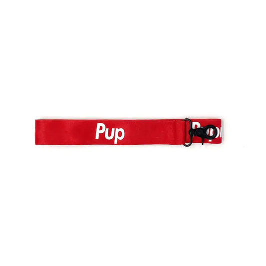 Cute Red Collar for Small and Medium Dogs