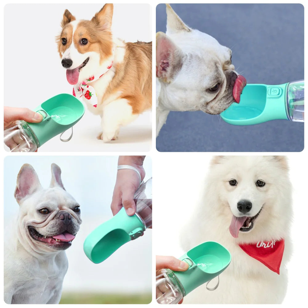 Easy-Sip Pet Travel Bottle
