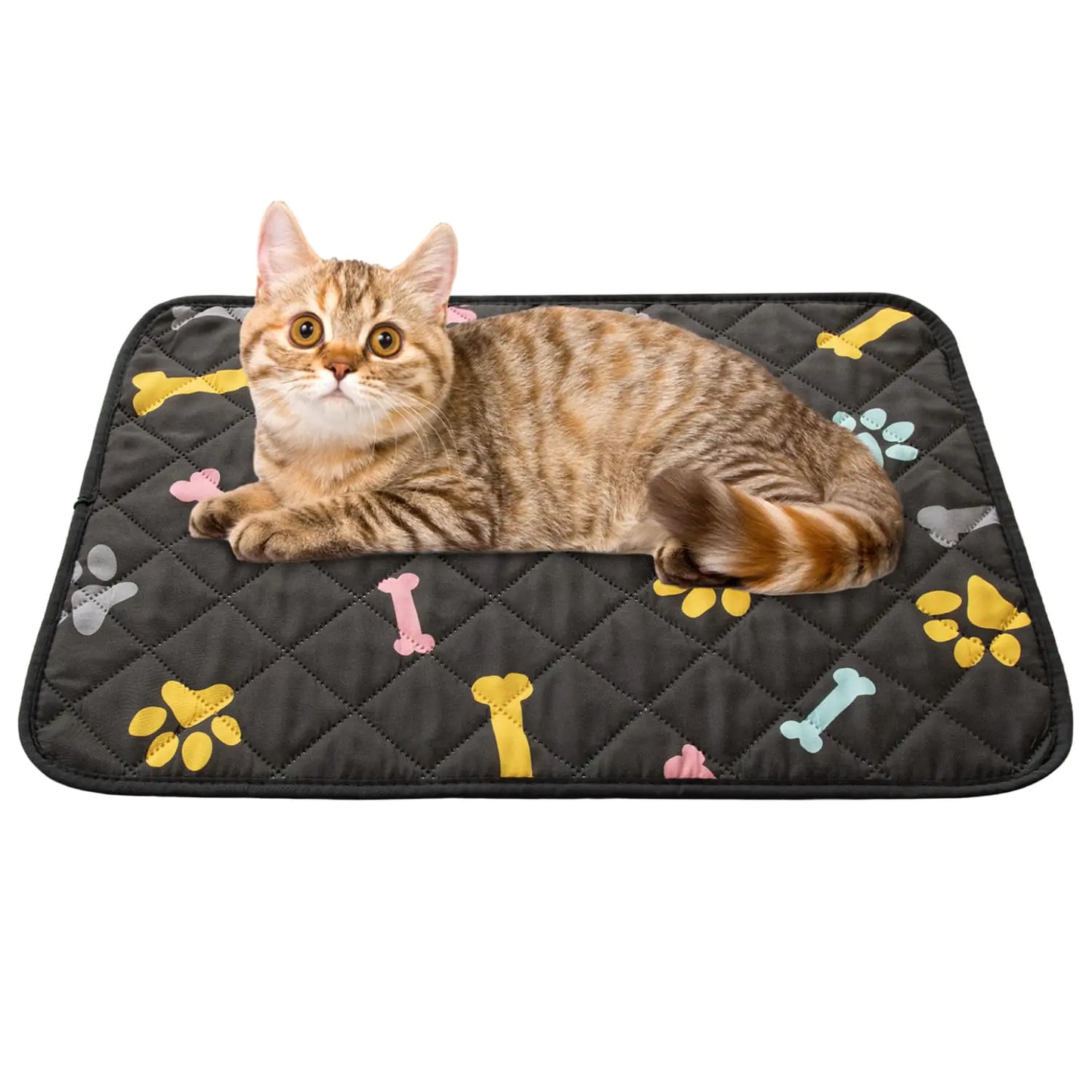 SPXTEX Dog Crate Pads Dog Pee Pads Rugs Washable Dog Pads Non Slip Puppy Pee Pads for Small Dogs Waterproof Pet Pad Rug Dog Whelping Training Pads for Dogs 2 Piece 20"x30" Black