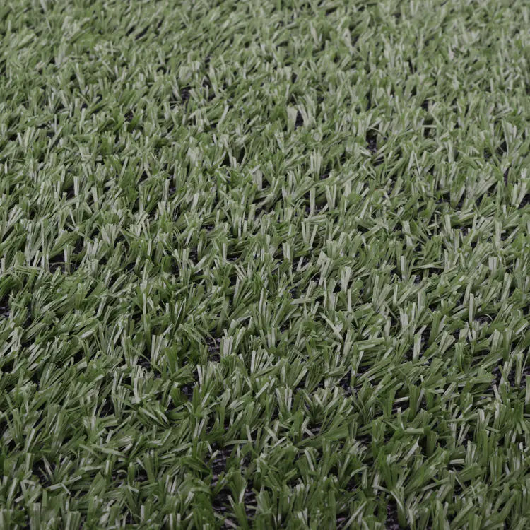 Pet Cushion and Grass Dog Toilet