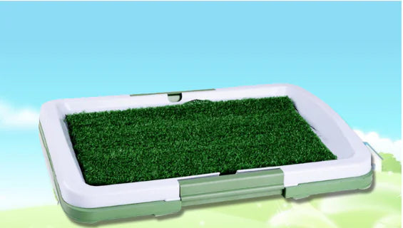 Pet Cushion and Grass Dog Toilet