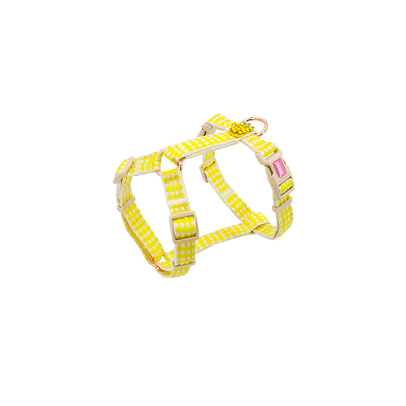 Fashionable Floral and Fruit Pattern Pet Leash